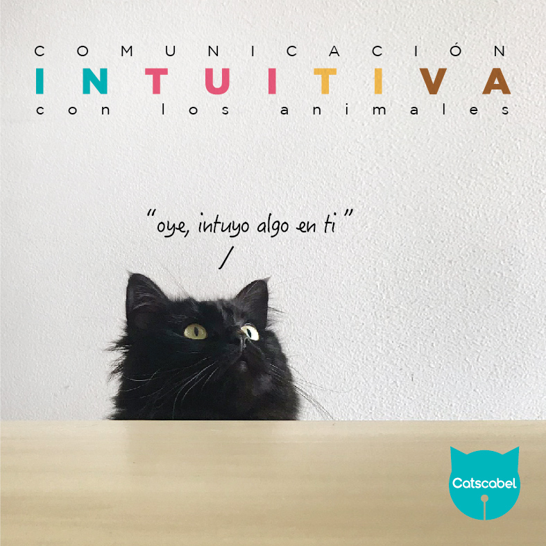 Comunicacion Intuitiva-02