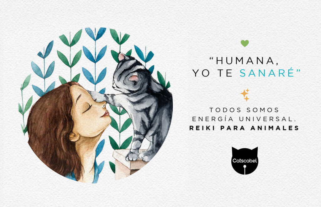 Reiki para Animales Catscabel una causa educativa a favor de los animales