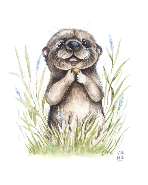 Nutria y su Tesoro Dibujar para ayudar 2