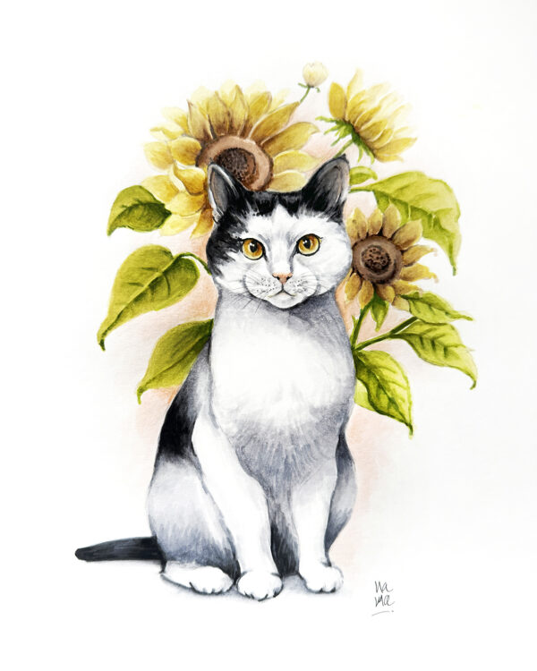 Tuxedo y girasoles Dibujar para ayudar