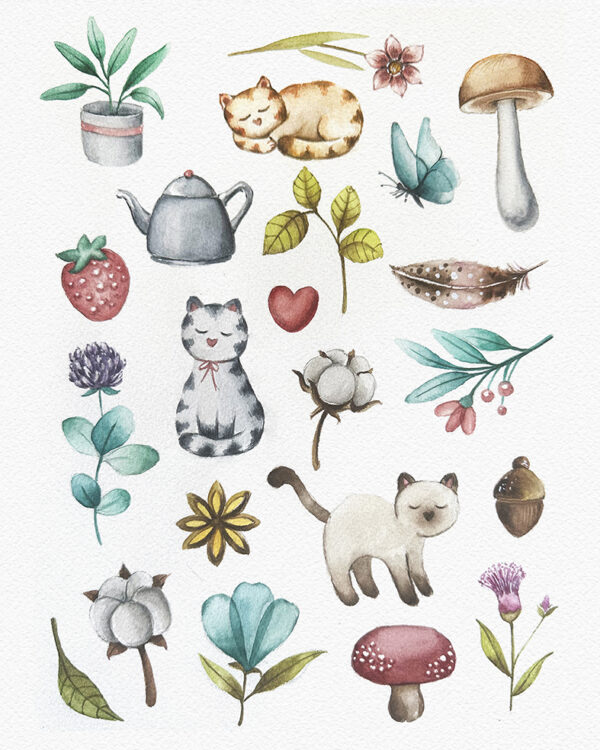 Catscabel una causa educativa a favor de los animales
