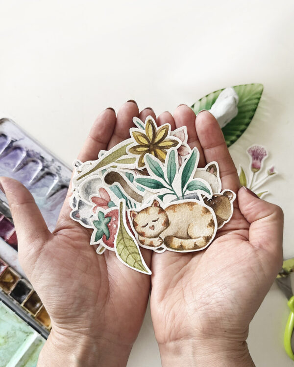 ADHESIVOS TIENDA Catscabel una causa educativa a favor de los animales
