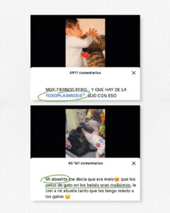 gatos hipoalergénicos 1