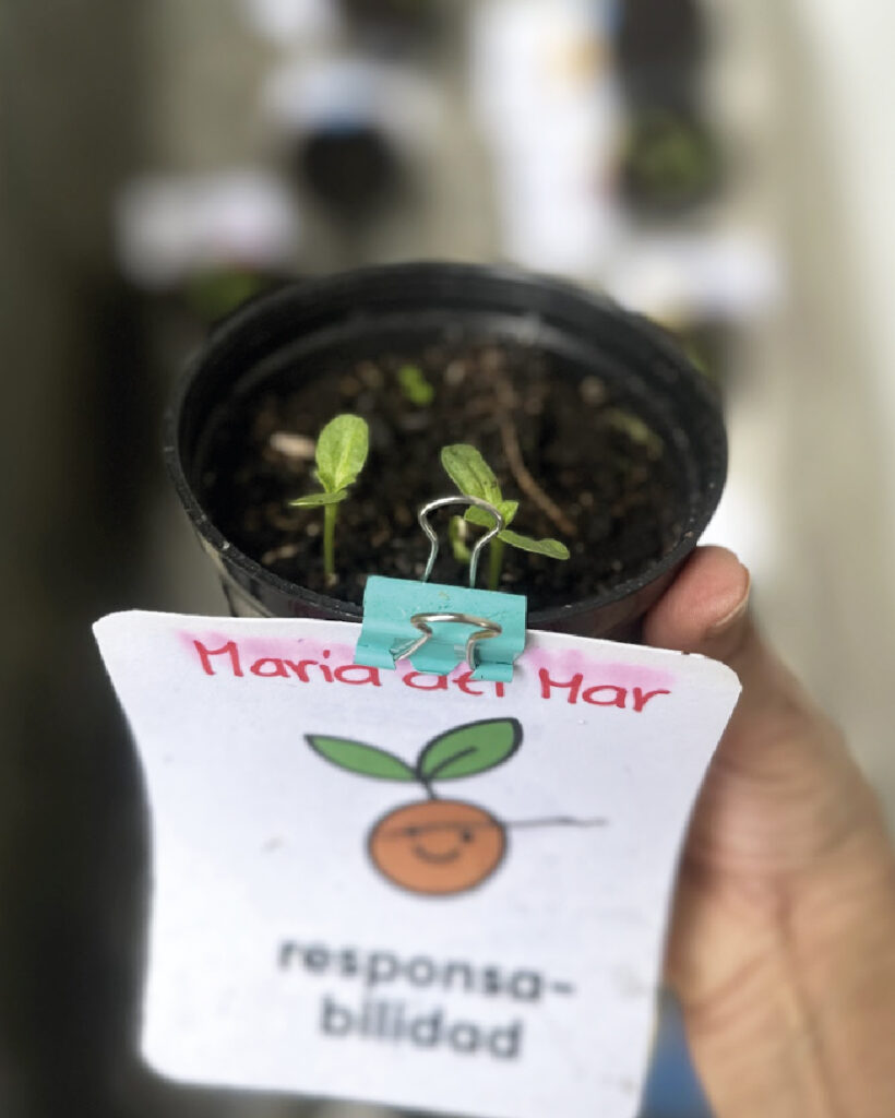 Actividades educativas para enseñar respeto por los animales en niños.