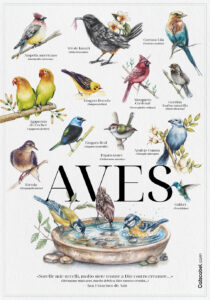 AFICHE PAJAROS CATSCABEL