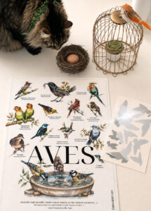 SALVAVIDAS DE PAJAROS Y AFICHE CATSCABEL