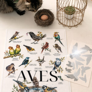 SALVAVIDAS DE PAJAROS Y AFICHE CATSCABEL