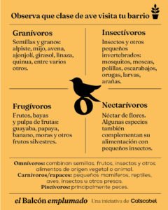 ALIMENTACION AVES ARTICULO EL BALCON EMPLUMADO Catscabel 02