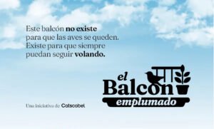 ARTICULO EL BALCON EMPLUMADO Catscabel 01